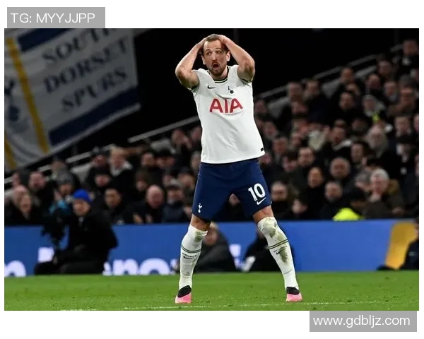 热刺足球队明星球员介绍及其在球队中的重要角色分析