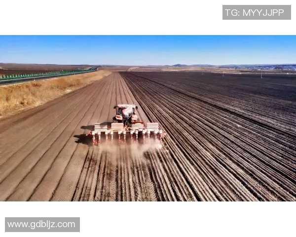 足球场上的传奇之路能力超群的明星球员的成长与奋斗故事