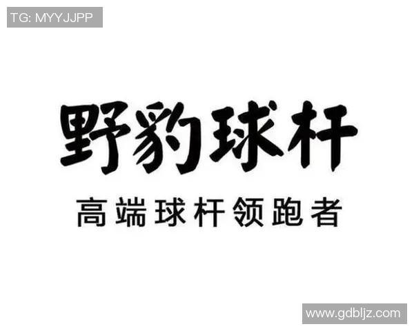 2023年高端体育品牌排行榜揭晓顶尖品牌与市场趋势分析