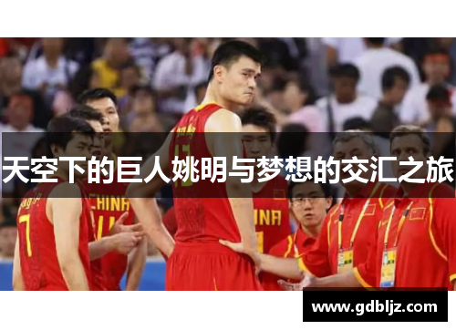 天空下的巨人姚明与梦想的交汇之旅