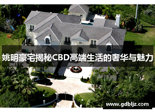 姚明豪宅揭秘CBD高端生活的奢华与魅力