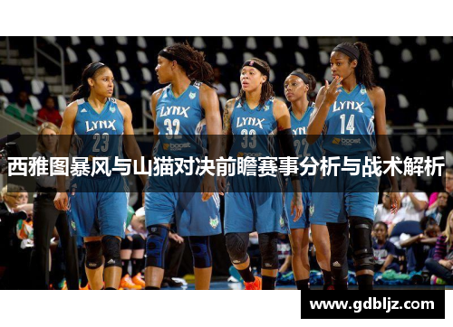西雅图暴风与山猫对决前瞻赛事分析与战术解析